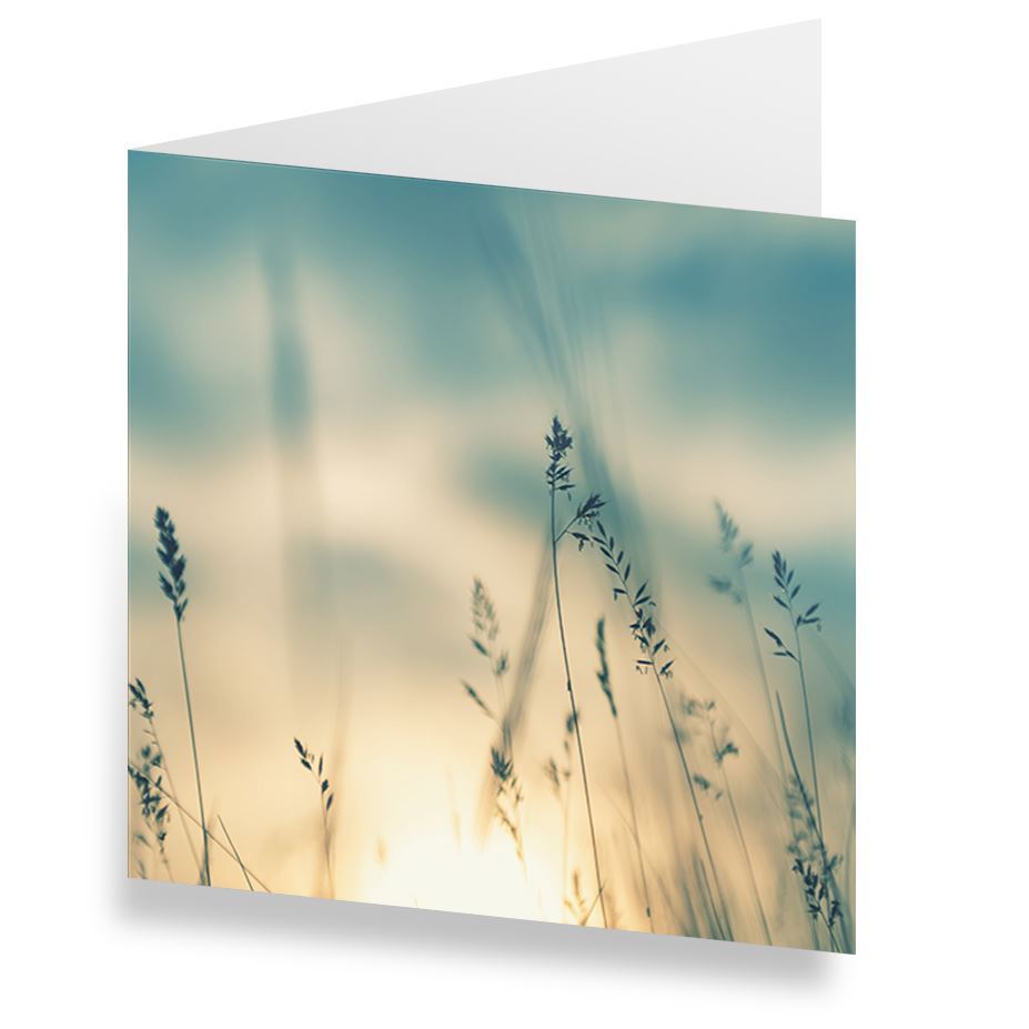 Karten «In stillem Gedenken» (10er-Set)