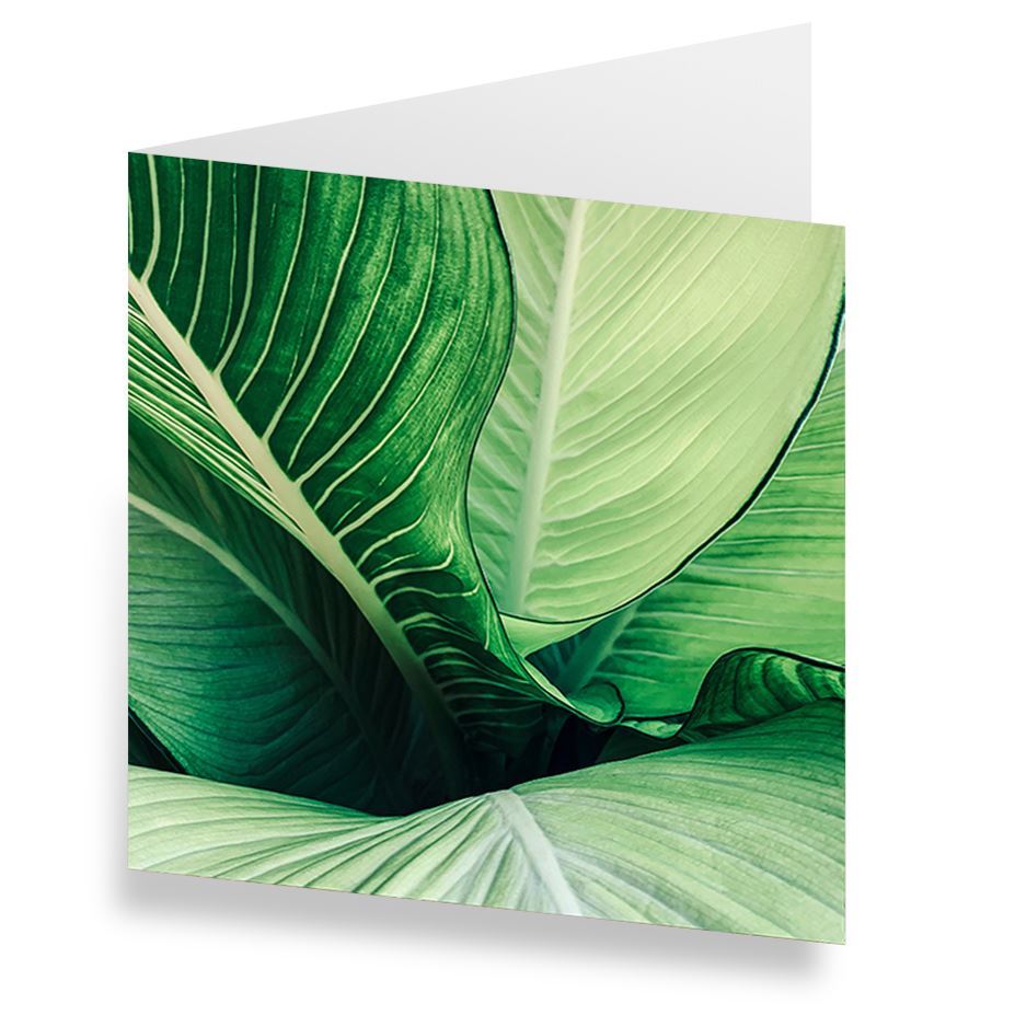 Karten «Blatt» (10er-Set)