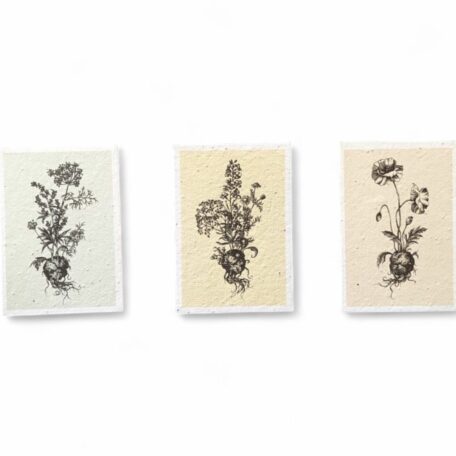 Kartenset aus Samenpapier - Andrea Noti