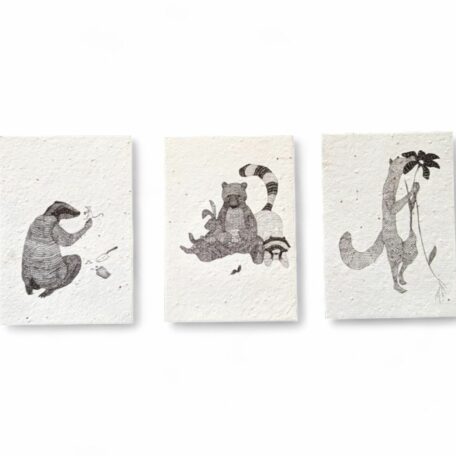 Kartenset aus Samenpapier - Nina Egli