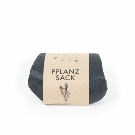 Pflanzset Koreanische Minze