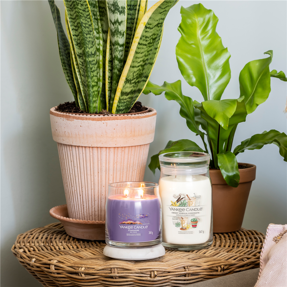 Sweet Vanilla Horchata Signature Medium Jar