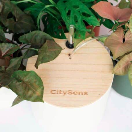 Arrosage goutte à goutte Smart, blanc