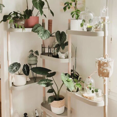 Blumenregal Modell 8 Tabletts, matt grau