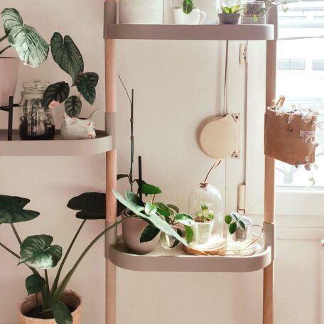 Blumenregal Modell 6 Tabletts, matt grau