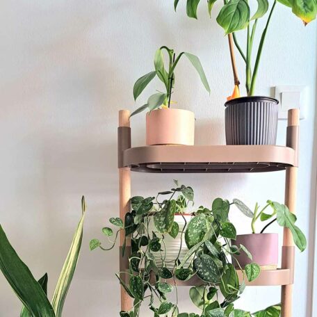 Blumenregal Modell 6 Tabletts, Farbe: Kiefer Rinde, matt