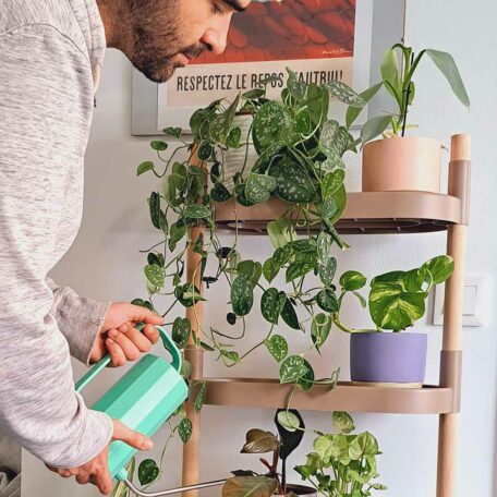 Blumenregal Modell 8 Tabletts, Farbe: Kiefer Rinde, matt