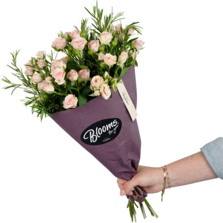 Blooms for you «Sophie»