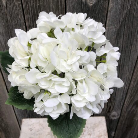 Hortensien Blüte mit Vase (Kunstblumen)