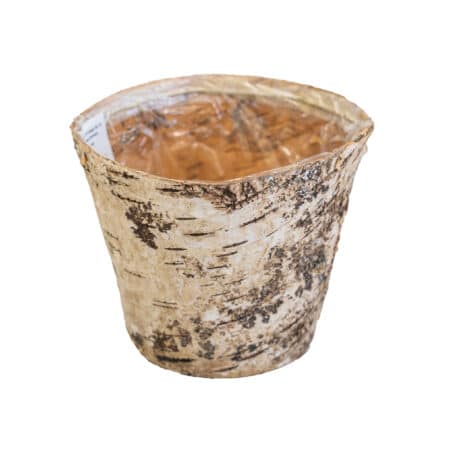 Pot en bouleau, Ø 15 cm, H 11 cm