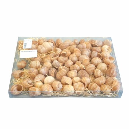 Coquilles d'escargots de vigne nature, 72 pcs