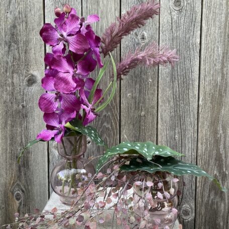 Vanda Orchidee und Peperomia Ranken in Glasvase © Atelier Leutwyler Fleurop Partner Ebikon bei Luzern