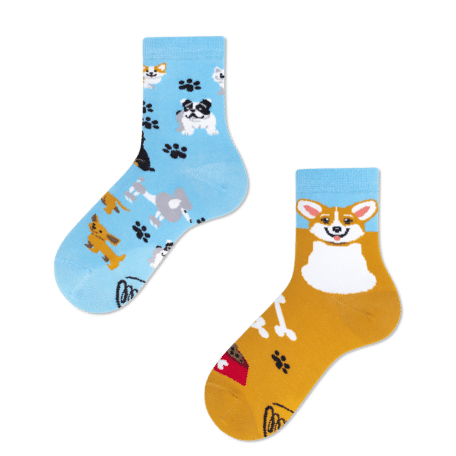 Playful Dog Kids Socks