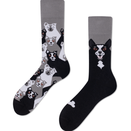 Black Dog Socks