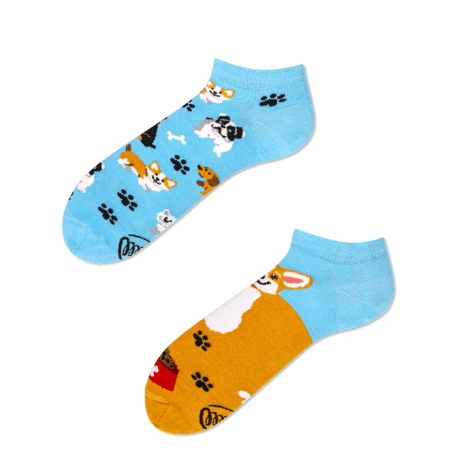 Playful Dog Sneakersocks