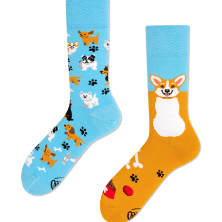 Playful Dog Socks