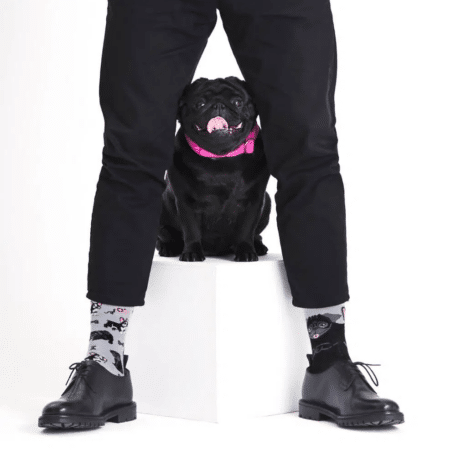 Tiny Little Dogs Socks