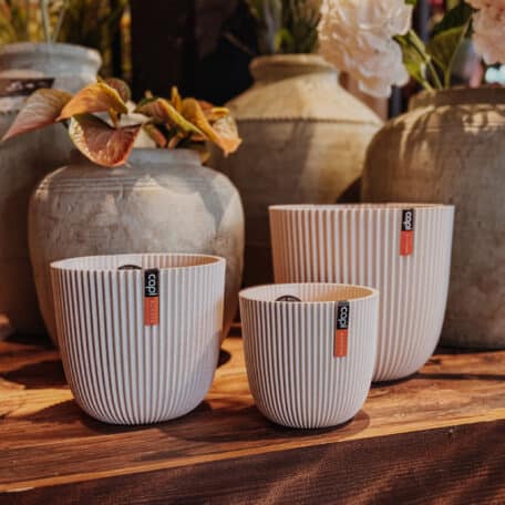 Capi Europe Pot Groove beige en sciure de bois, H 12cm, Ø 13cm