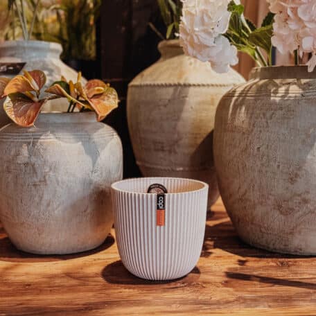 Capi Europe Pot Groove beige en sciure de bois, H 12cm, Ø 13cm