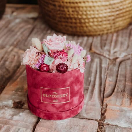 Samtbox in bordeauxrot, mit stabilisierter Rose und Trockenblumen in rosa, pink und beige Ø 15 cm