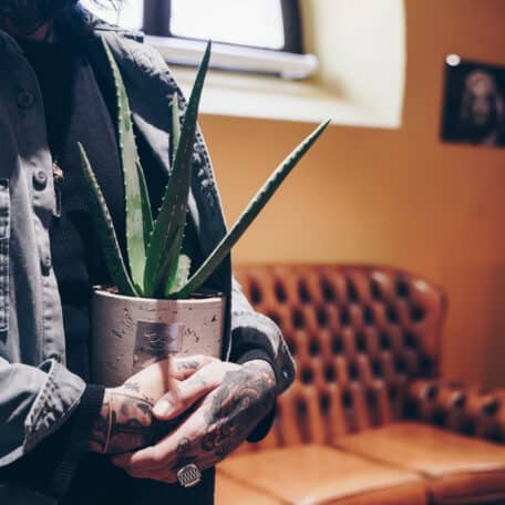 Das ist Anthony (Aloe vera)