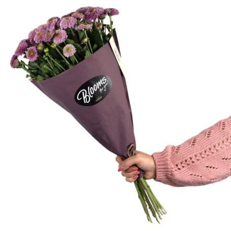 Blooms for you «Audrey»