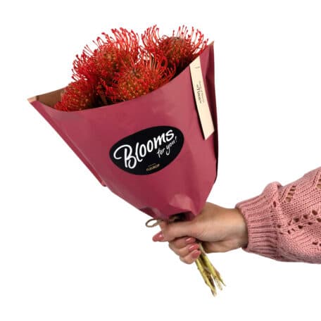 Blooms for you «Tina»