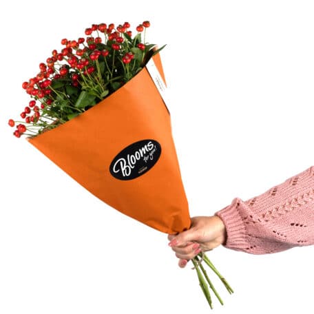 Blooms for you «Vera»