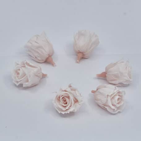 Gefriergetrocknete Rose mini 'hellrosa' Ø4cm h3.5cm 6er Set