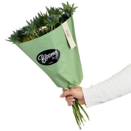 Blooms for you «Frida»