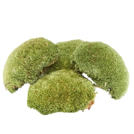 Klumpenmoos 100gr