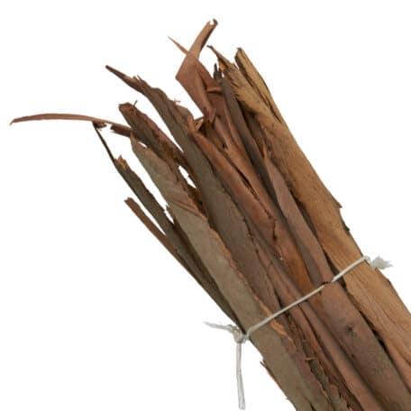 Eucalyptus 'Rinde' Bund ca. 1kg