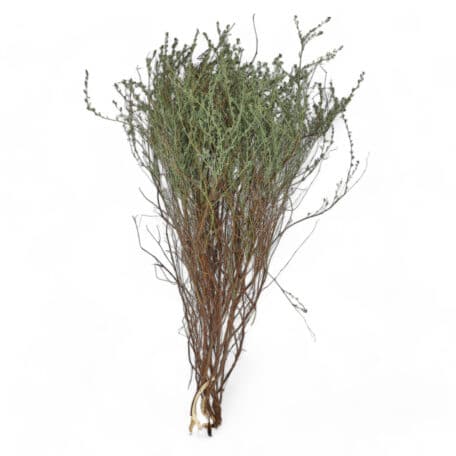 Thymian 'wild' 100gr