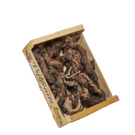 Rebstock geschnitten Kiste