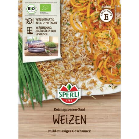 Graines germées 30gr 'Blé