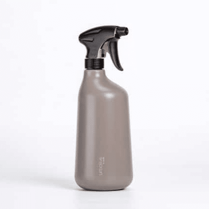 Zerstäuber Pilea taupe