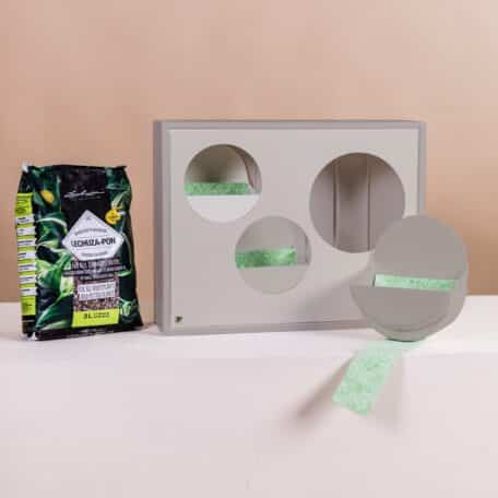 Wandbox Farbschema 3 inkl. 3er Pflanzenset Green Paradise (Bundle)