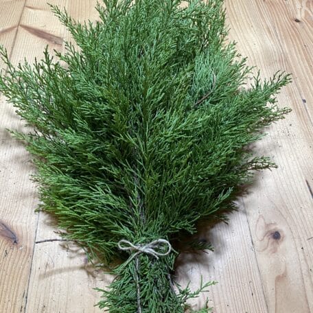 Bund Duft-Zypressen-Zweige 500g - Cupressus Goldcrest
