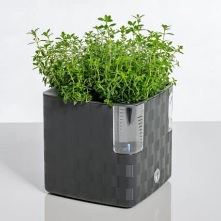 Pot à herbes Cobble anthracite