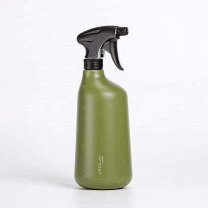 Zerstäuber Pilea grün