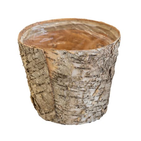 Pot en bouleau, Ø 19 cm, H 15 cm