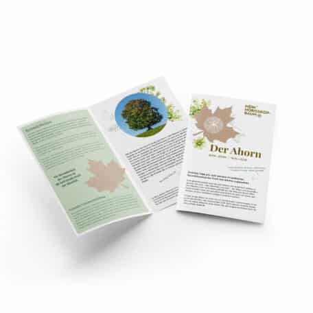 Ahorn 11.04.-20.04. & 14.10.-23.10.