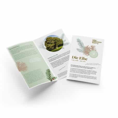 Eibe 01.05.-14.05. & 03.11.-11.11.