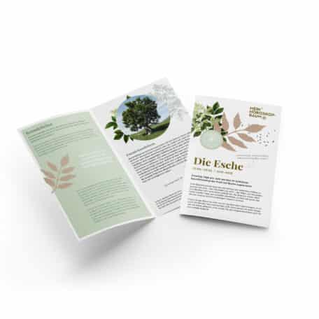 Esche 25.05.-03.06. & 22.11.-01.12.