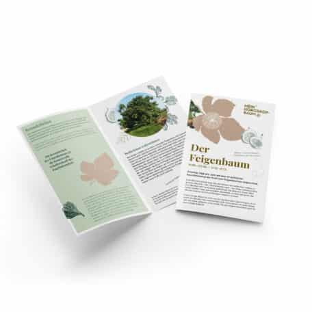 Feigenbaum 14.06.-23.06. & 12.12.-21.12.