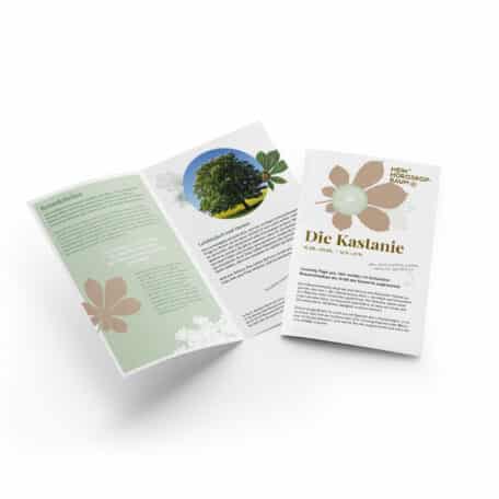 Kastanie 15.05.-24.05. & 12.11.-21.11.