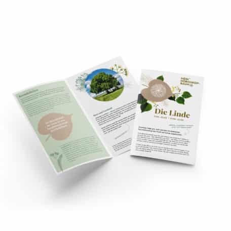 Linde 11.03.-20.03. & 13.09.-22.09.