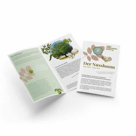 Nussbaum 21.04.-30.04. & 14.10.-02.11.