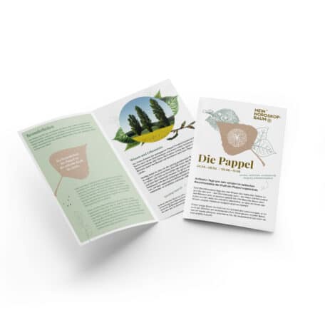 Pappel 04.02.-08.02. & 05.08.-13.08.