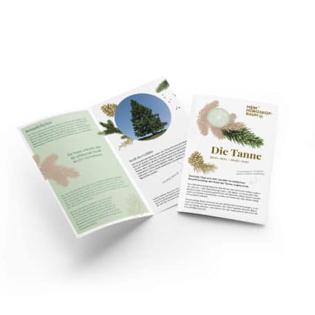 Tanne 02.01.-11.01. & 05.07.-14.07.